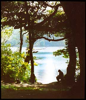 Gone fishing