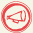 Director icon