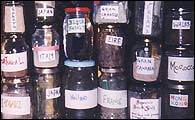 soil samples