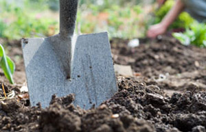 Spade in soil