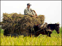 Hình minh họa