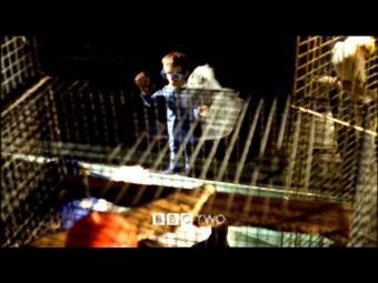 04cage