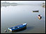 Boats on the River Torridge 
