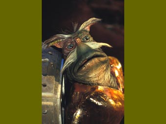 404rygel1