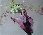 Artist Mandy Pellatt calls her orchid paintings her 'concubines' after researching Chinese history