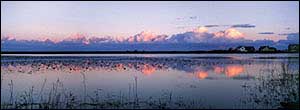 Reflections at Slapton Ley