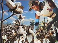 agricultor