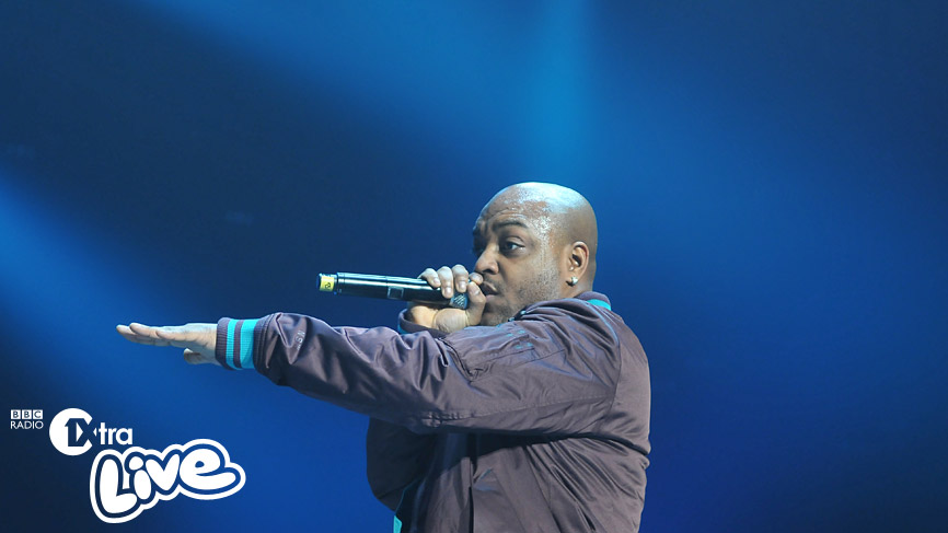 Donaeo