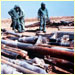 sarin