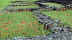 Roman Caerwent