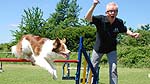 Chris Evans dog handling