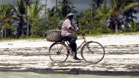 Useful facts about the Swahili language in Swahili. © BBC - Jeff Overs