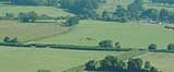 Fields