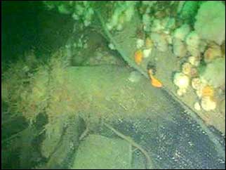 Wreckage photograph