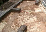 Image of the site