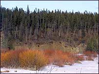 Picture: Foothills Forest