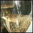 Vinho