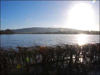 Bredon Hill picture by Peter Bryenton
