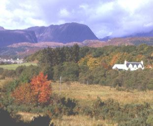 Feàrnaig 