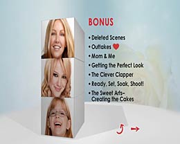 The Perfect Man DVD