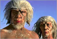 Homo ergaster