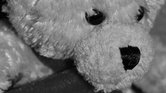 Christmas teddy...