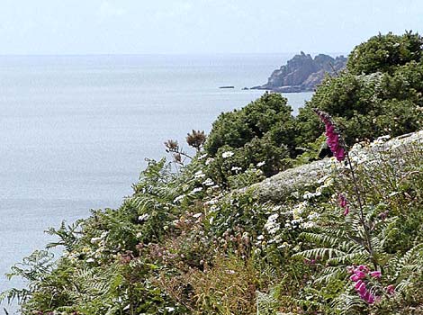Cliffpath from Lamorna to Penberth