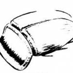 Bulldozer Beetle Bulldozer Beetle