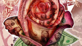 Dollar Rose Dollar Rose