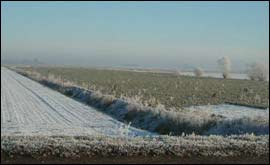 Frosty field