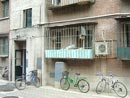 apartment block