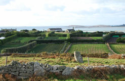 St Martin's