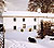 The Farm