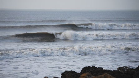 Rest Bay by Gull