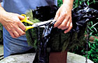 Cutting black plastic liner