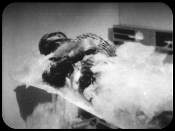 58