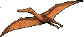 pterodactyl. 