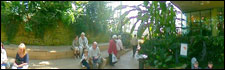 Sunderland Winter Gardens