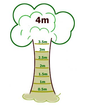 Tree totaliser