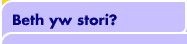 Beth yw stori?   