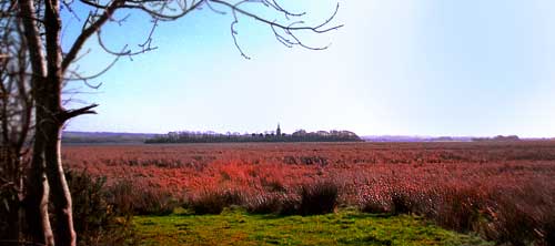 View across the Marshland towards Church Island (Inis Taoide)