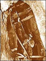 Miners