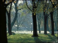 Kensington Gardens