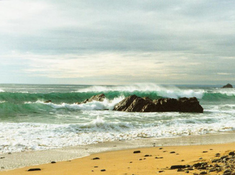 Dollar Cove