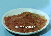 bumcivilian