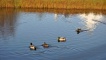 Lachain air loch