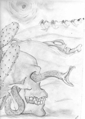 desert