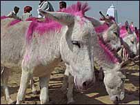 गधा