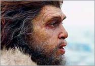 Homo neanderthalensis