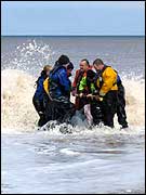 Sea rescue dolphin 180